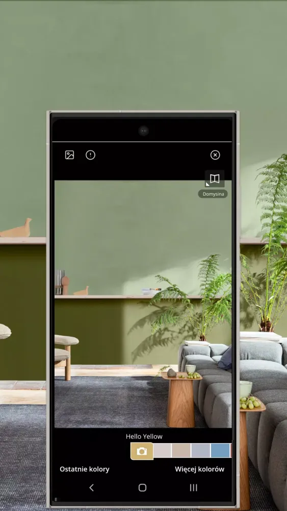Dulux Visualizer PL应用截图