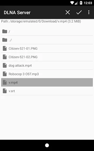 DLNAServer Screenshots