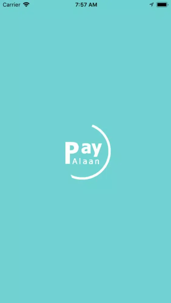 Ảnh chụp màn hình của Pay Alaan