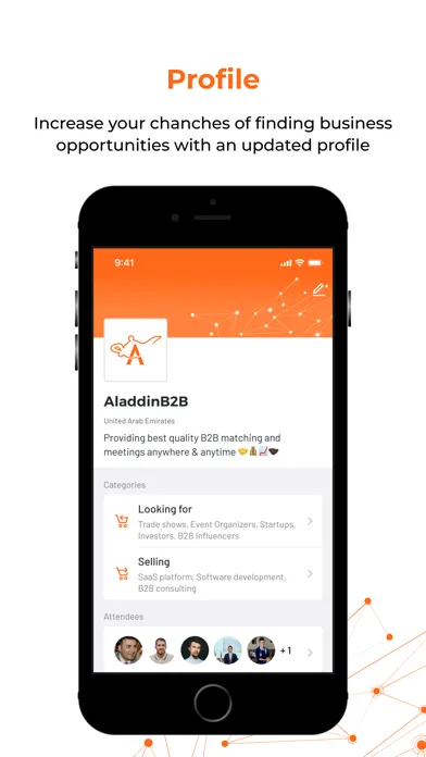 Captures d'écran de AladdinB2B
