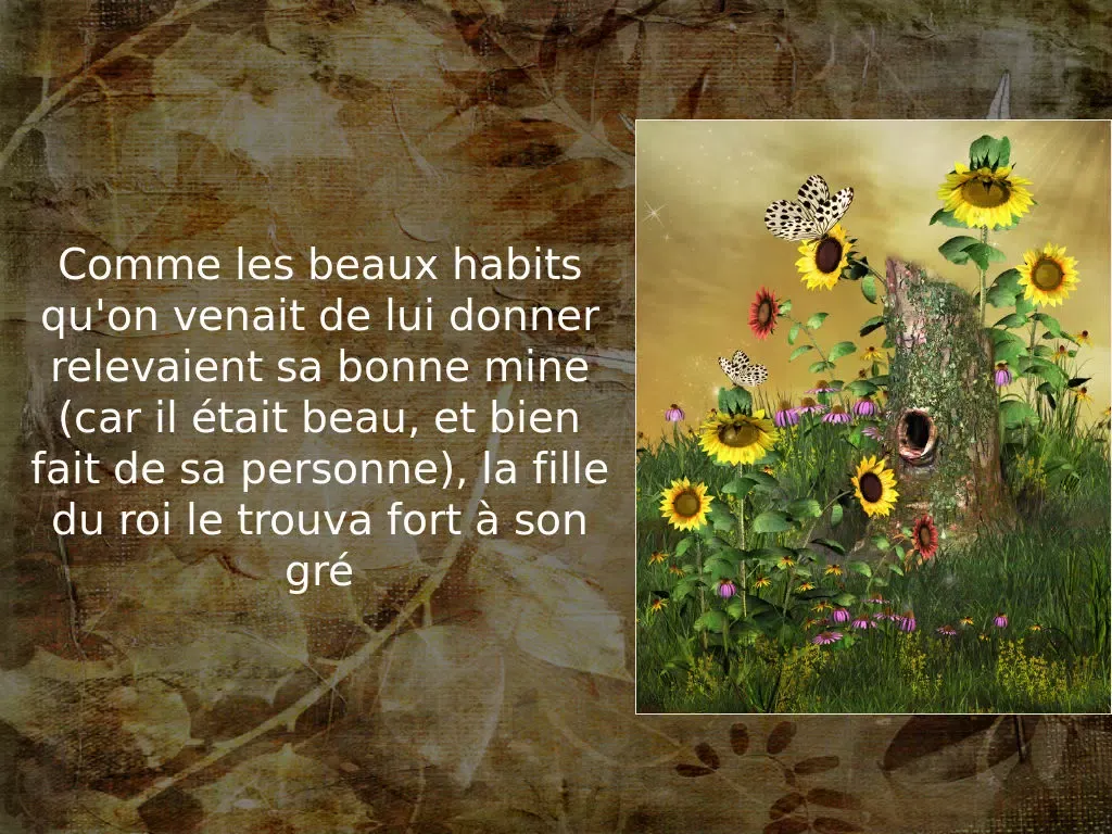 Le Chat botté, de Charles Perrault (Lite) iPad  Screenshots