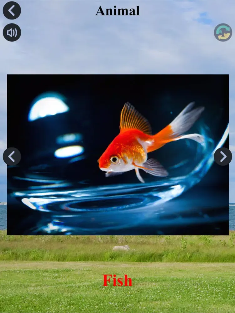 Captures d'écran de Kindergarten LearningGame iPad 