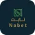 Nabet - نابت