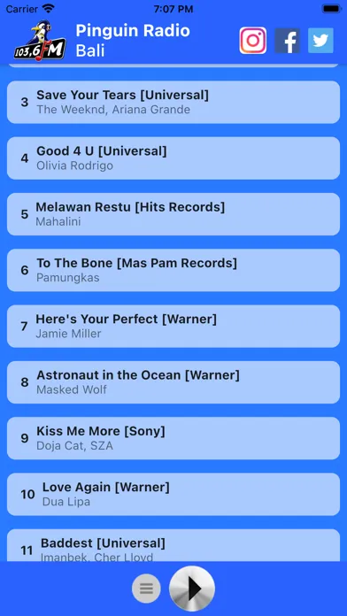 Pinguin FM スクリーンショット