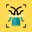 Insekten Scanner
