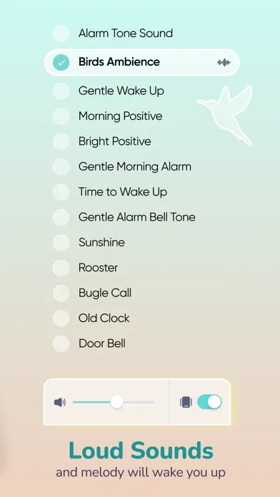 Dawn Time - Loud Alarm Clock应用截图