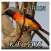 Kicau Master Burung Mantenan