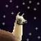 Space Llama