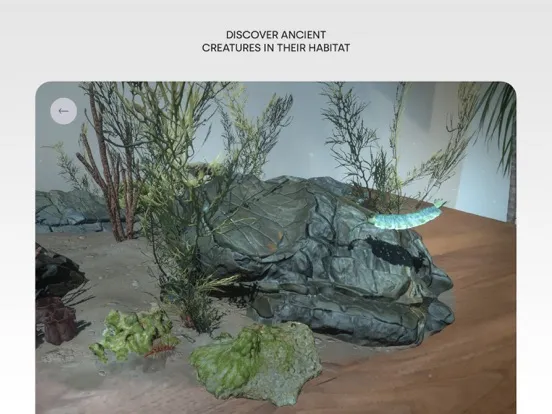 Tangkapan layar Museum Alive iPad 