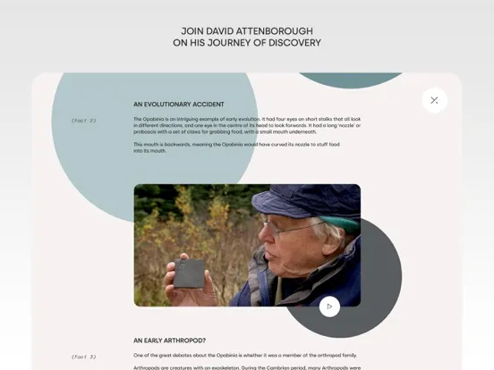 Tangkapan layar Museum Alive iPad 
