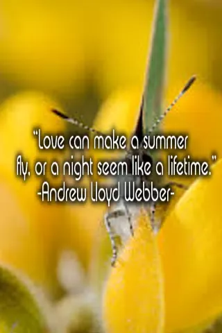 Daily and Love Quotes Screenshots