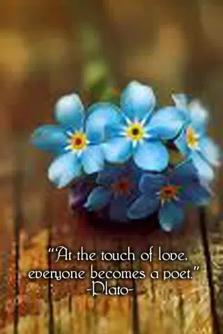 Daily and Love Quotes Screenshots