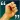 Citations de Motivation