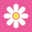 Alegra Daisy Chain Alegra Daisy Chain