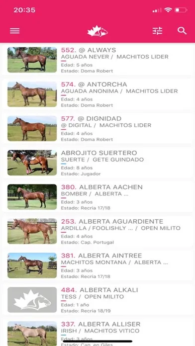 Screenshot di Alegria Polo