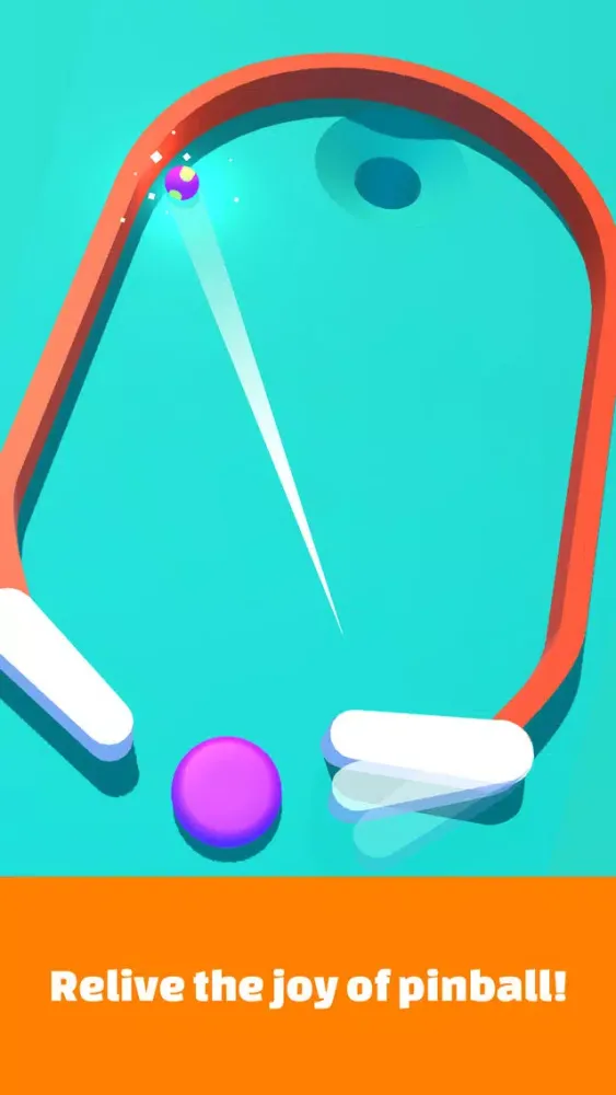 Pinball Puzzle: Goal Action Screenshots