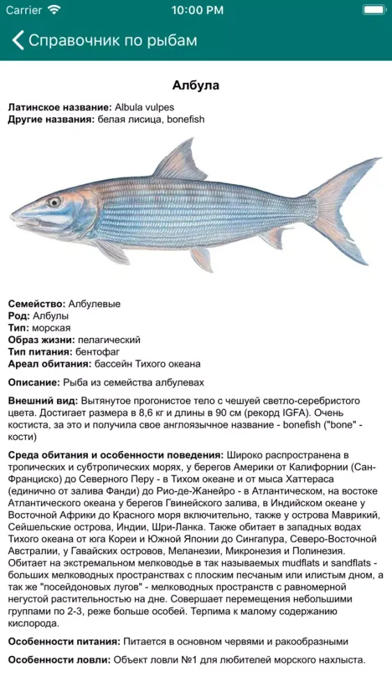 Клёвая рыбалка应用截图