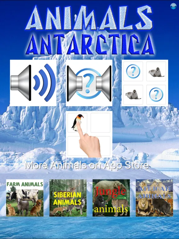 Animals Antarctica iPad 应用截图