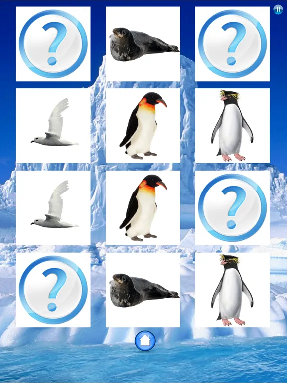 Animals Antarctica iPad 应用截图