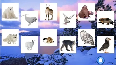 Animals North Screenshots