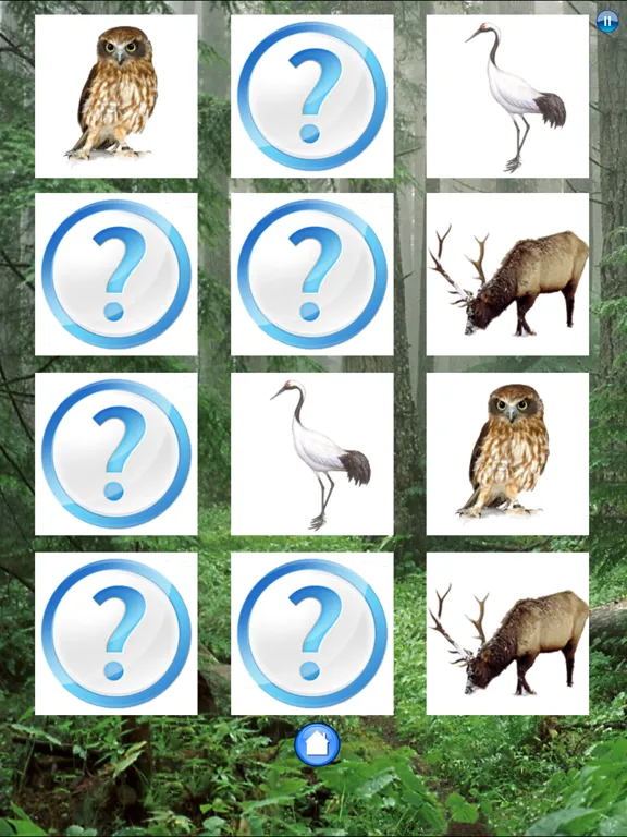 صور Forest Sounds Free iPad 