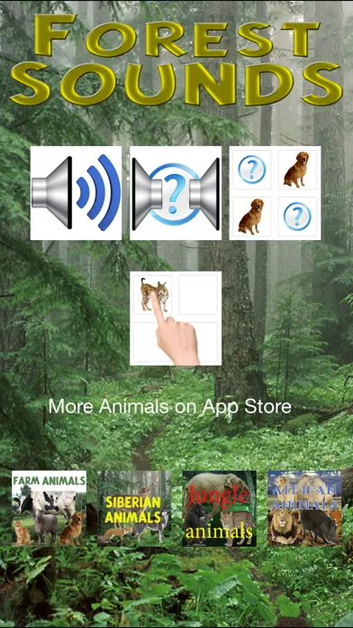 صور Forest Sounds Free