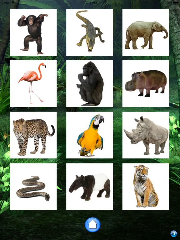 Captures d'écran de Sounds of Jungle iPad 