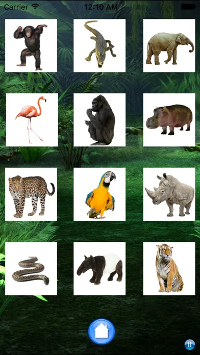 Captures d'écran de Sounds of Jungle