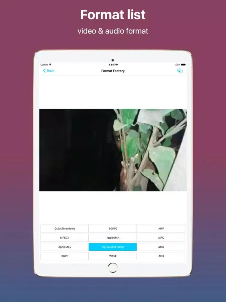 Video Editor Collection Professional iPad  Ekran Görüntüleri