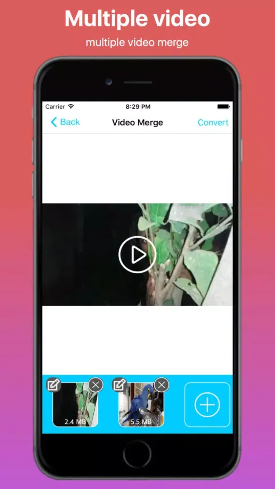 Video Editor Collection Professional Ekran Görüntüleri