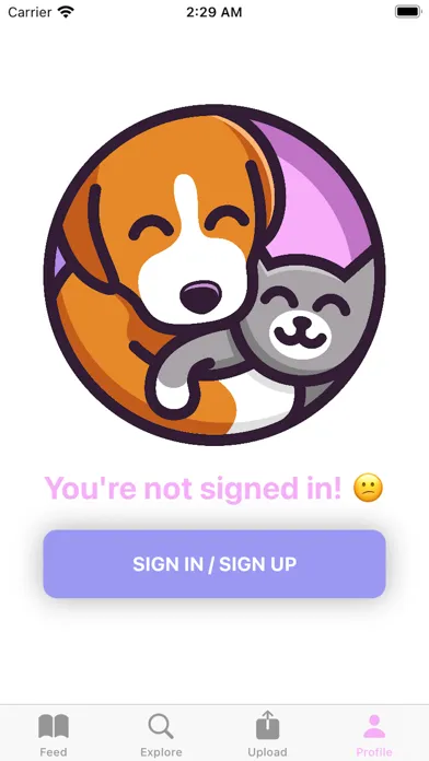 Capturas de pantalla de PetPixels