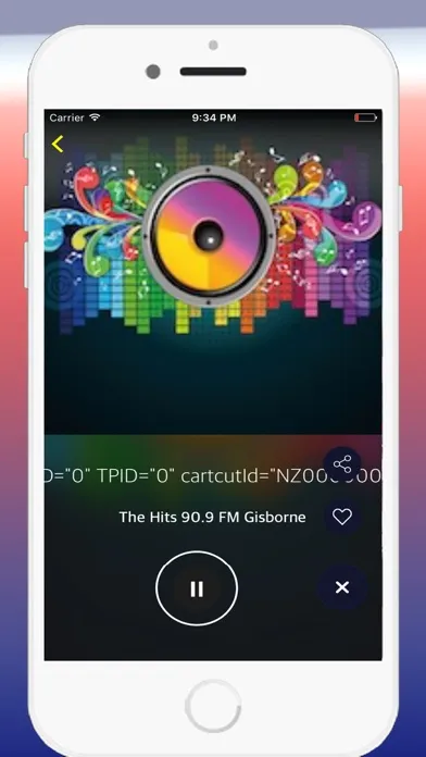 Screenshot di Radio New Zealand FM - Live Radio Stations Online