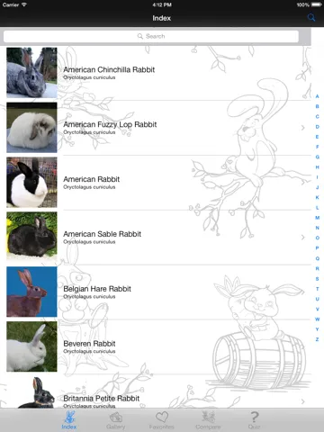 Captures d'écran de My Favorite Bunny iPad 