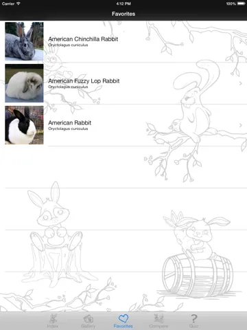 Captures d'écran de My Favorite Bunny iPad 