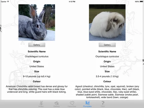 Captures d'écran de My Favorite Bunny iPad 