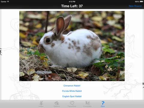 Captures d'écran de My Favorite Bunny iPad 