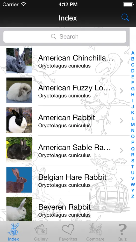 Captures d'écran de My Favorite Bunny