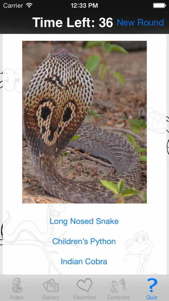 My Favorite Snake Screenshots