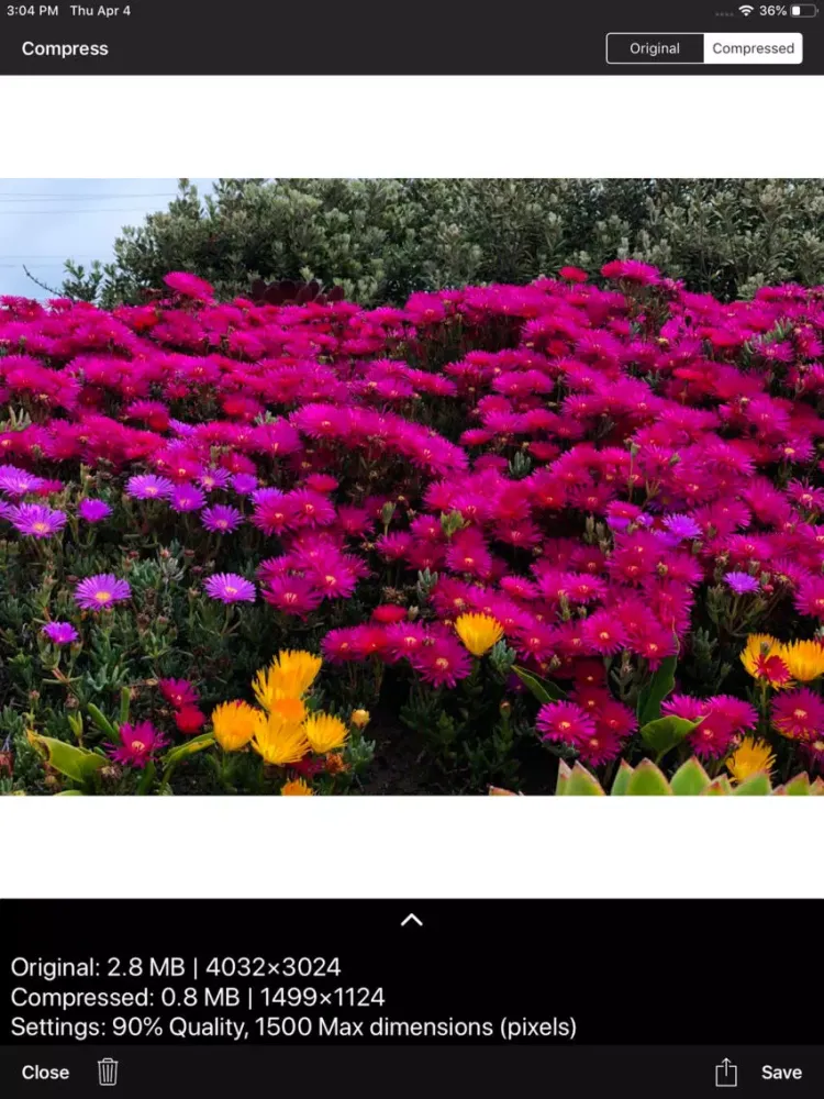 Compress Photos&Images App iPad 应用截图