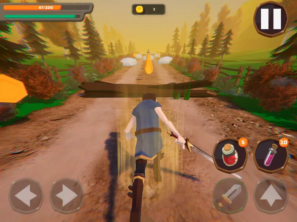 Cursed Sword Of Endless Run iPad سکرین شاٹس