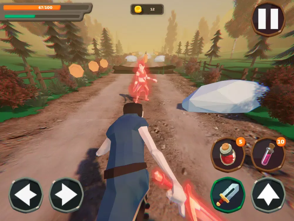 Cursed Sword Of Endless Run iPad سکرین شاٹس