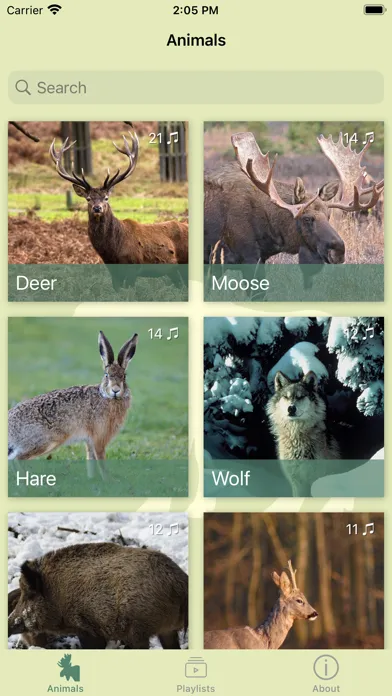 Capturas de tela do Animal decoy