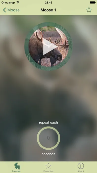 Capturas de tela do Animal decoy