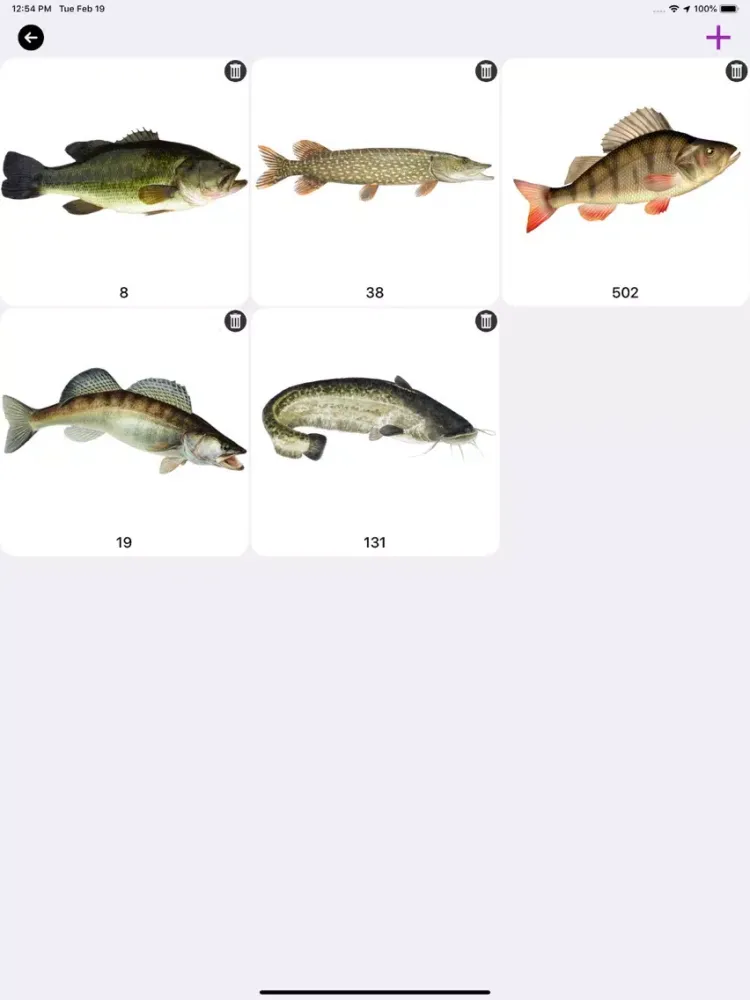 Fish Record iPad  Ekran Görüntüleri