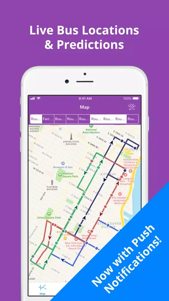 Tangkapan skrin NYU Buses
