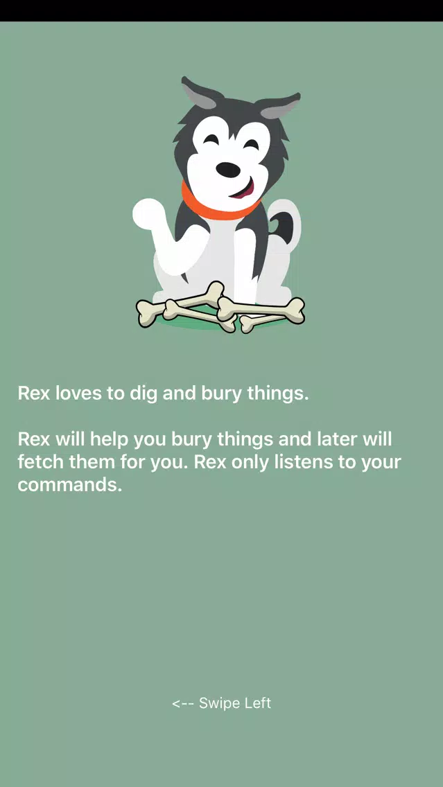 Buried Bone: Image Vault应用截图