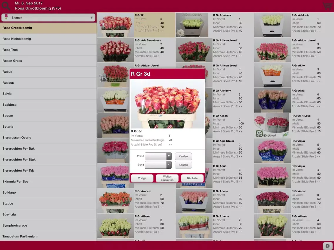 Blumen von Maat iPad  Screenshots
