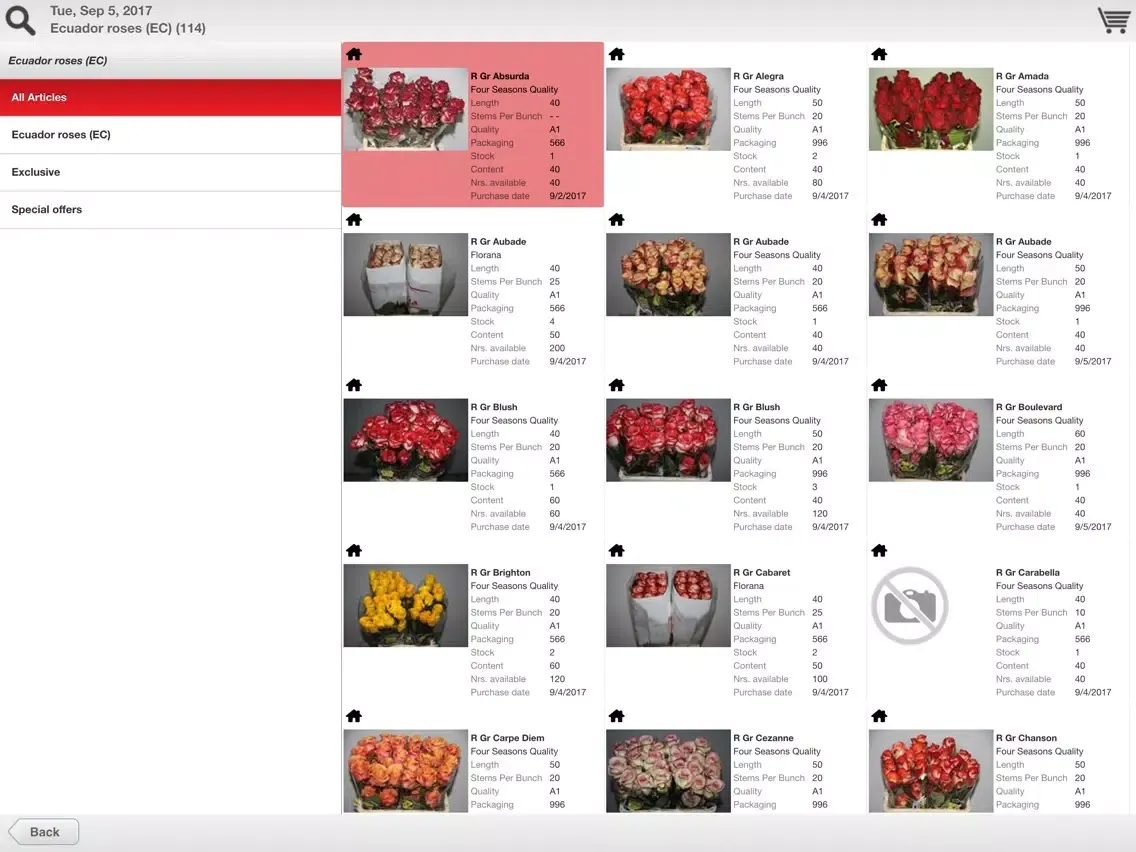 تصاویر FJ Zandbergen Roses iPad 