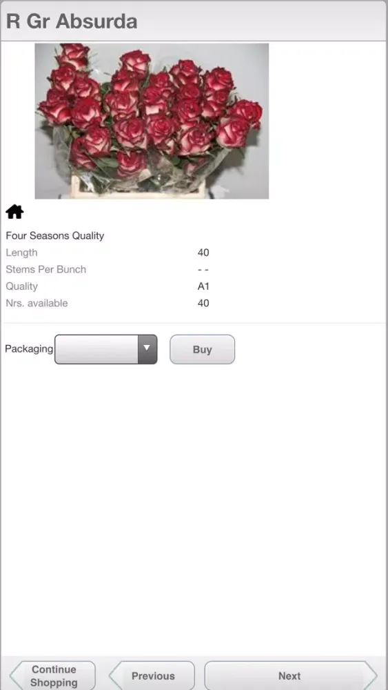تصاویر FJ Zandbergen Roses