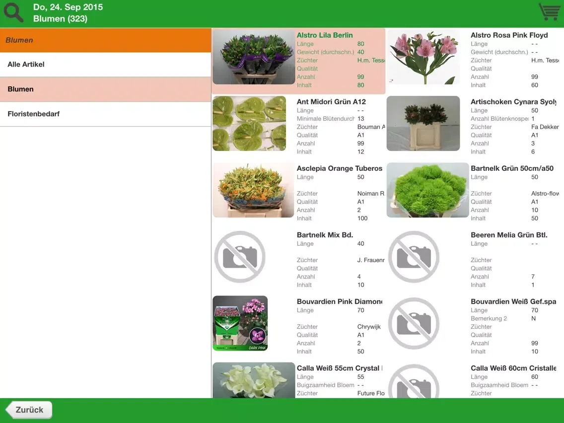 Tangkapan layar Willeke Blumen iPad 